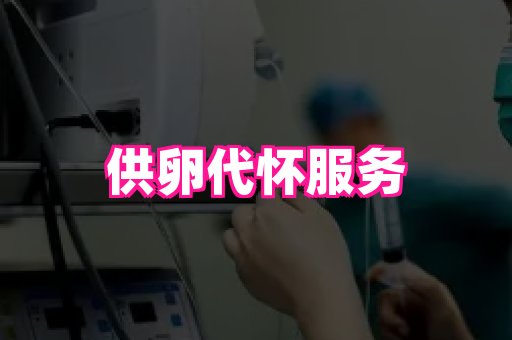123试管孕网 3