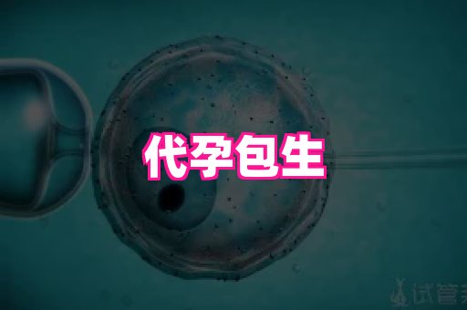 123试管孕网 4